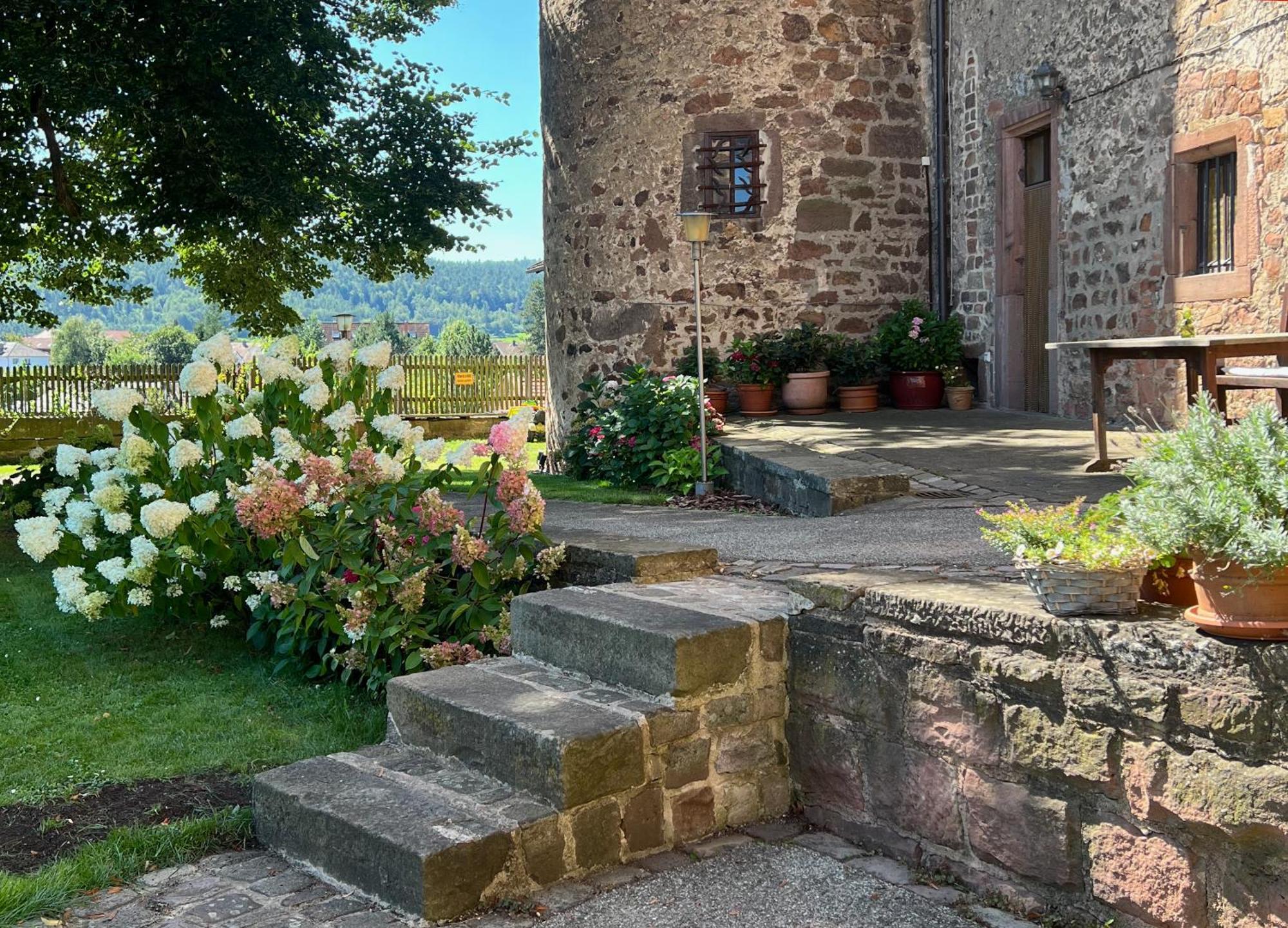 Alte Foersterei - Elegantes Apartment In Der Historischen Hinterburg Schlitz - Nahe Fulda Und Bad Hersfeld Eksteriør bilde